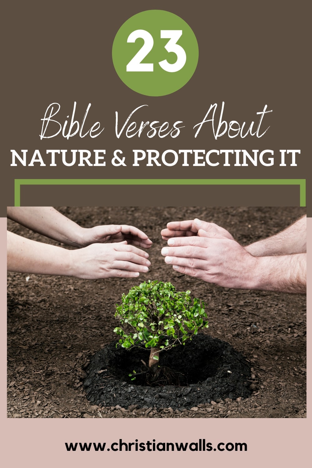 23 Bible Verses about Nature & Protecting It (Save God's Nature!) –  Christian Walls
